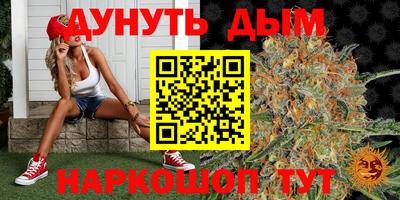 стаф Камышлов