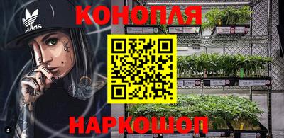 стаф Камышлов