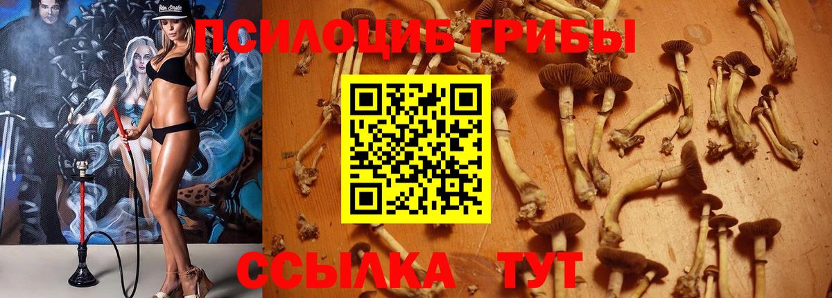 Галлюциногенные грибы ЛСД Кувандык